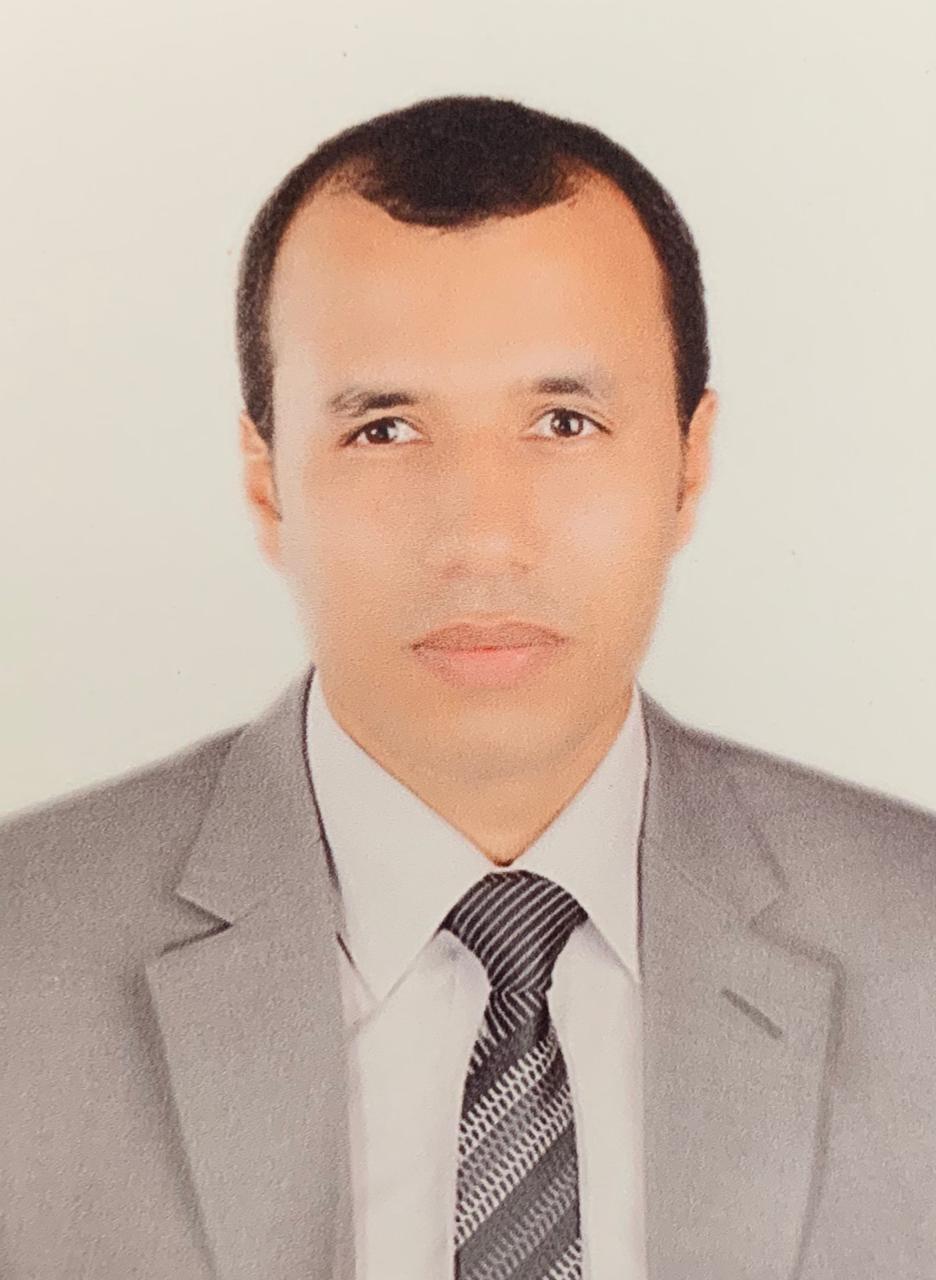 Mohammed Gamil Mohammed Abdelghany